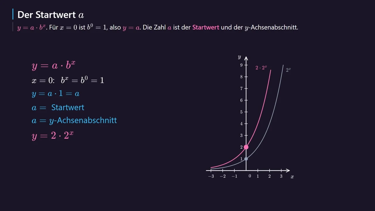 y = 2 · 2^x startet bei 2.