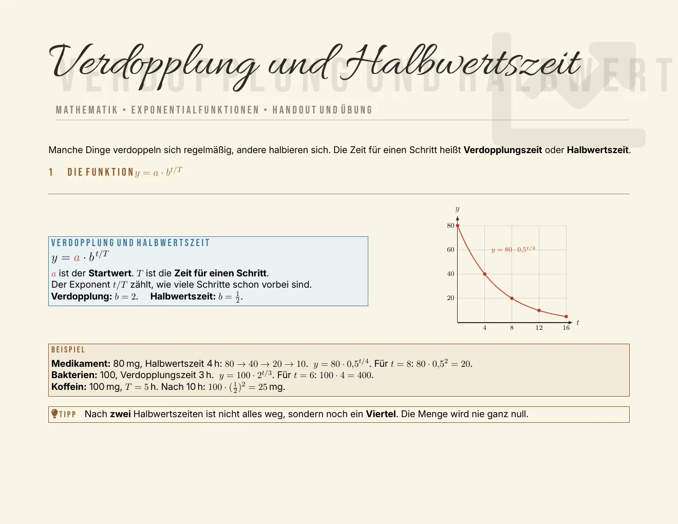 Das Arbeitsblatt – Seite 1