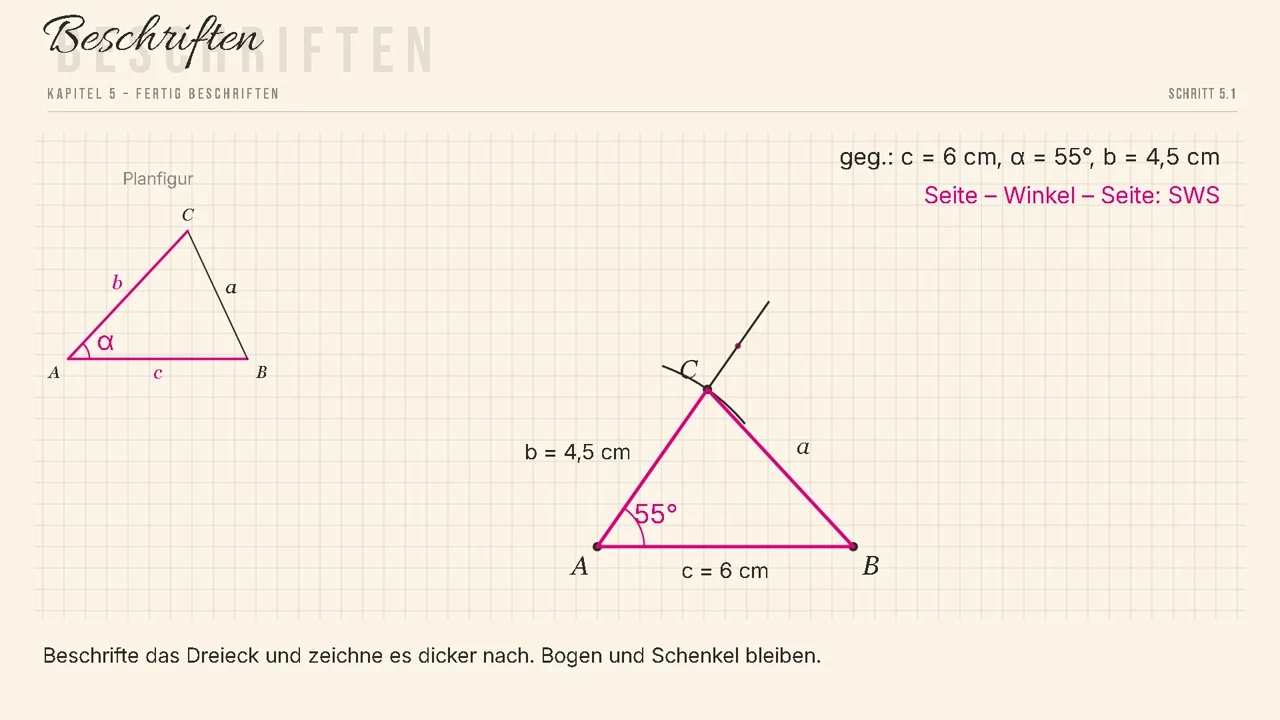 Das fertige Dreieck: c = 6 cm, \alpha = 55^\circ, b = 4{,}5 cm.