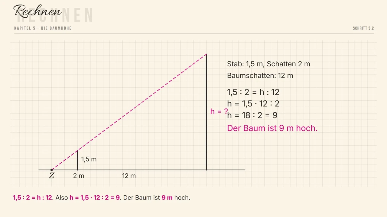 Die Höhe des Baumes: Stab und Baum sind parallel, die Sonnenstrahlen auch.