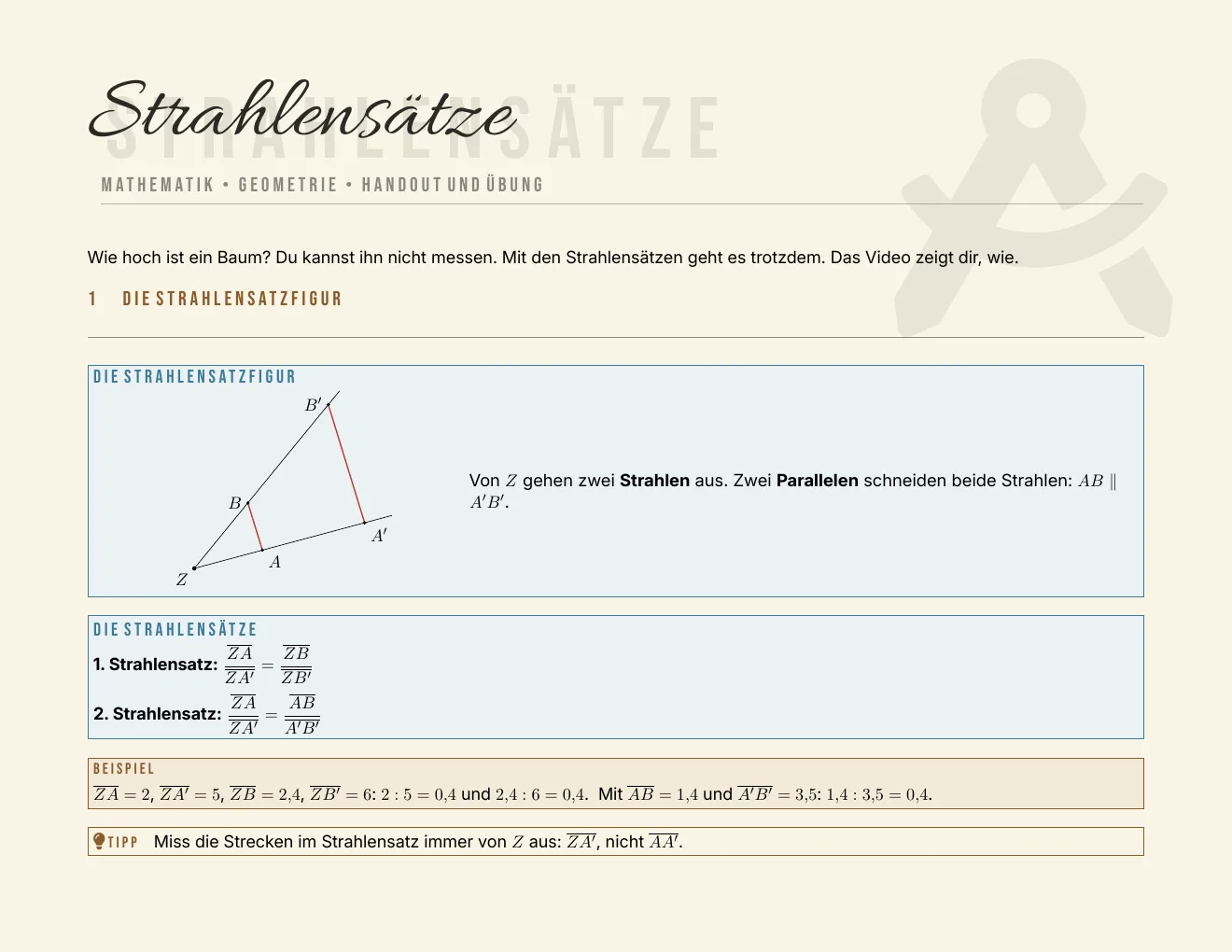 Das Arbeitsblatt – Seite 1