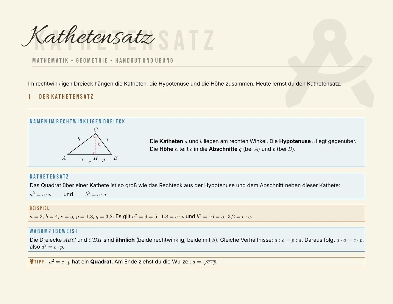 Das Arbeitsblatt – Seite 1